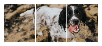Split canvas prints - Package 2